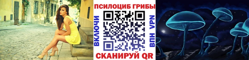 МЕГА зеркало  Верея  Галлюциногенные грибы Psilocybine cubensis 